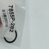 P20 O-RING